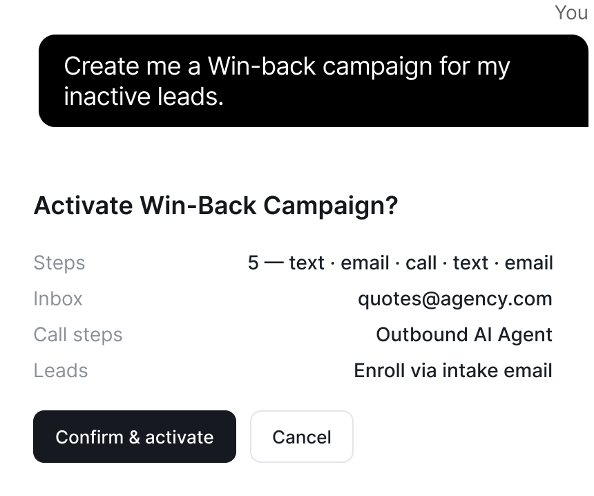 Chat prompt creating a win-back campaign with activation confirmation